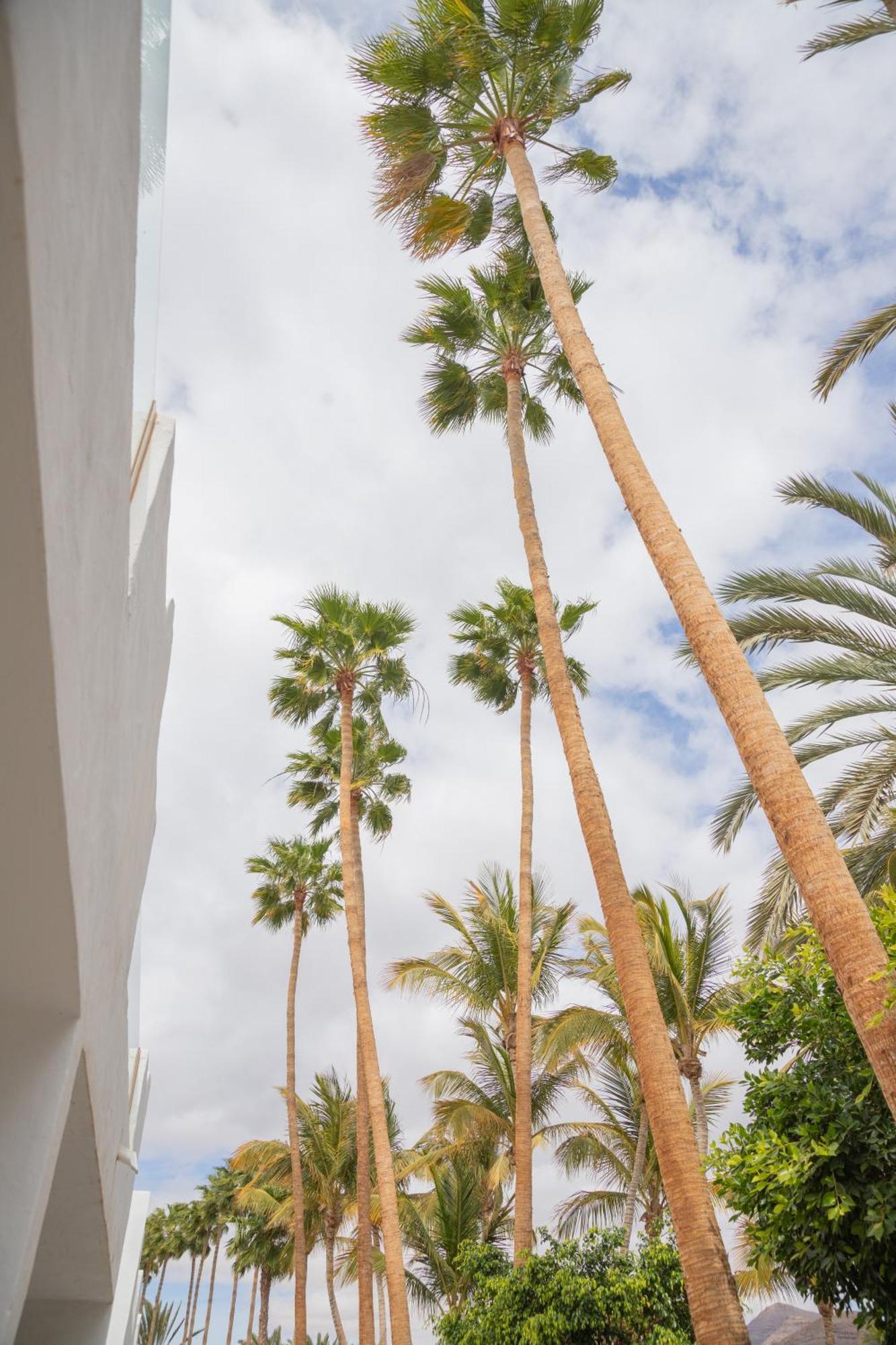 Palm Beach Fuerteventura Tarajalejo Exterior foto